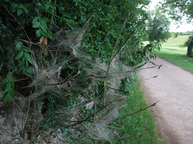2010-05- (111).JPG